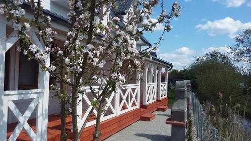 Lodge Domki Letniskowe Chabrowa 1
