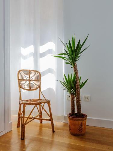 Apartamento Carlos V