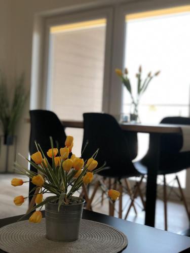 Apartament S?oneczny Pi?? M�rz Siano??ty