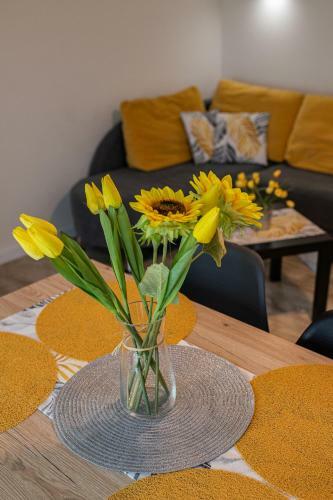 Apartament S?oneczny Pi?? M�rz Siano??ty