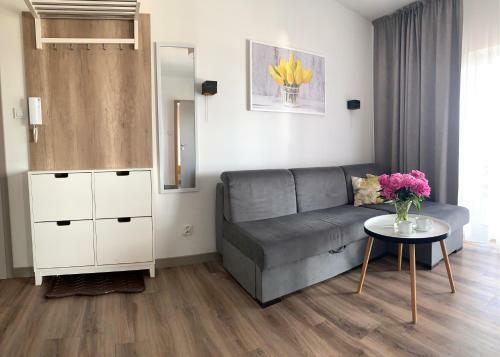 Apartament Livia