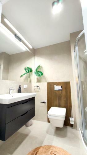 Apartamento Posesja Kapita?ska-apartamenty Premium