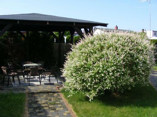 Villa Amber
