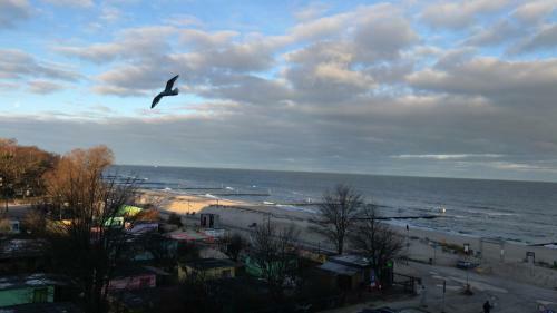 Bed & Breakfast Pension Am Meer
