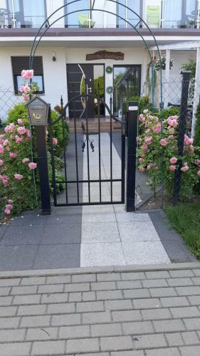 Bed & Breakfast Pensjonat Dziki Zak?tek