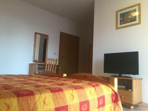 Bed & Breakfast Galeria Tennis