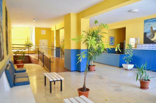 Apartment Las Arenas Ocean View