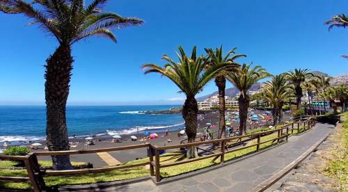 Apartamento Playa De La Arena