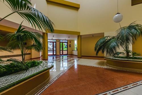 Apartamento Olivia Free Wifi