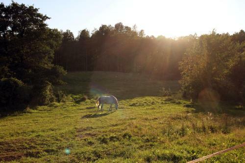 Bed & Breakfast Kamminland