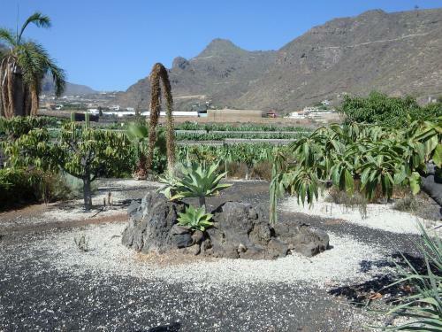 Finca Los Llanitos I