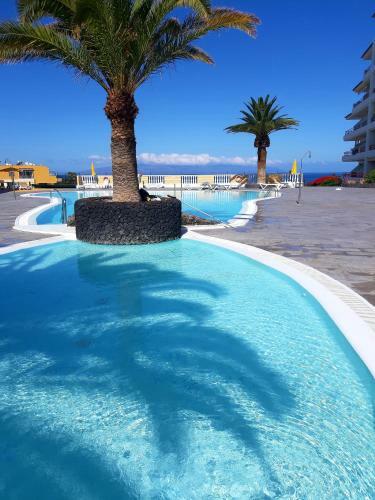Apartamento Luxury Tagara Beach
