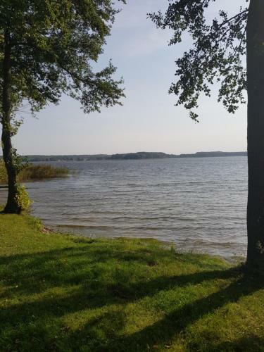 Domki Nad Jeziorem Kolonia Rybacka