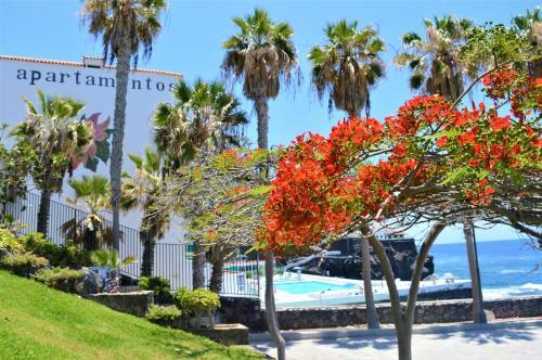 Apartamento Ocean Panorama
