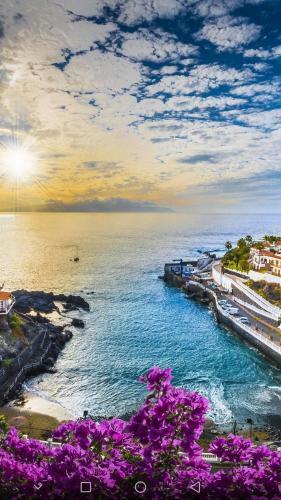 Apartamento Los �ngeles �tico