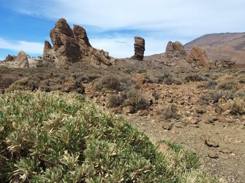 Apartamento Tenerife Playa La Arena
