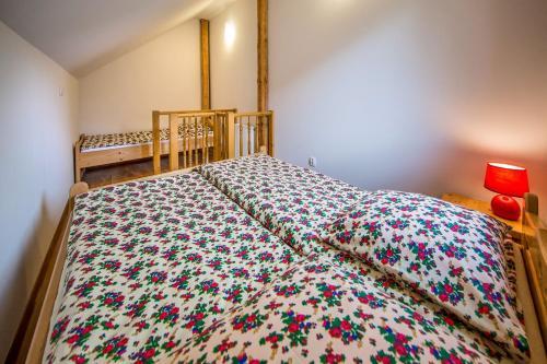 Apartament Ku?nia