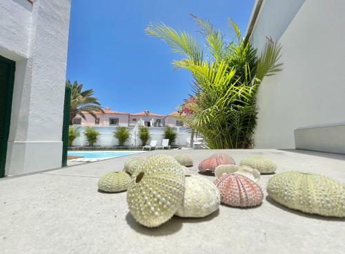 Apartamento Taucho - Private, Heatable Pool, Bbq, 4 Bedrooms