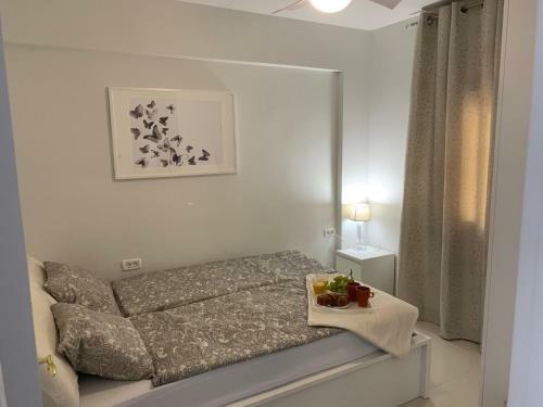 Playa La Arena Apartment By The Beach