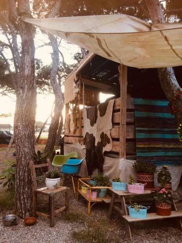 Vintage Camper - And Apartment Ibiza