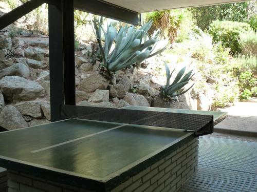 Apartamento Tramuntana
