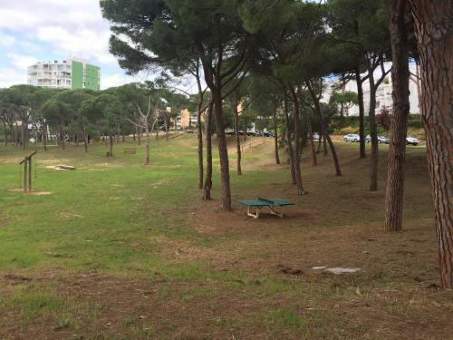 Apartamento Politur