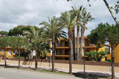 Apartamentos Les Palmeres