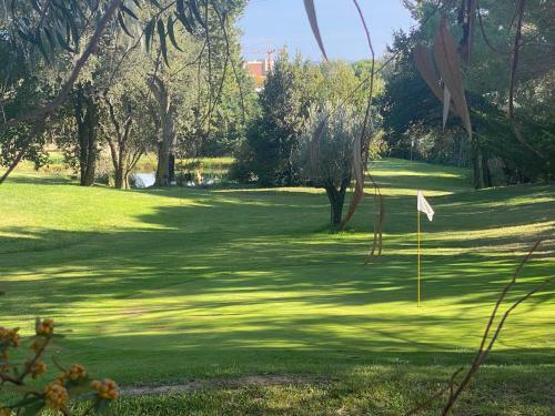 Apartamento Apto Las Palmeras