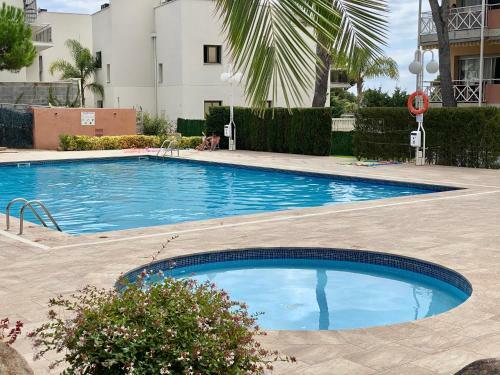 Treumal Center Apartment