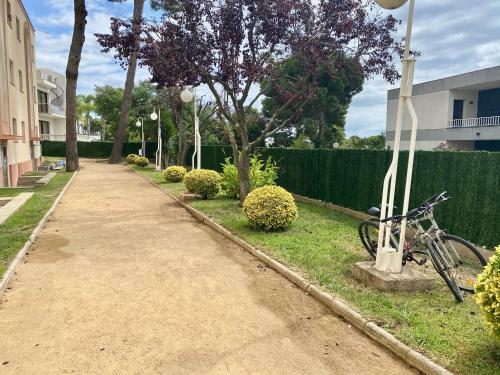 Treumal Center Apartment