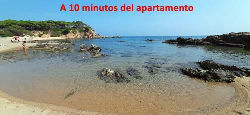 Apartamentos Turartic