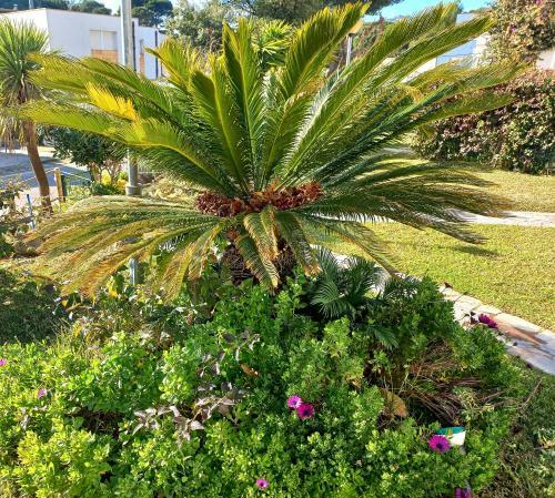 Apartamento Exeptionnel Appartement Playa D�aro