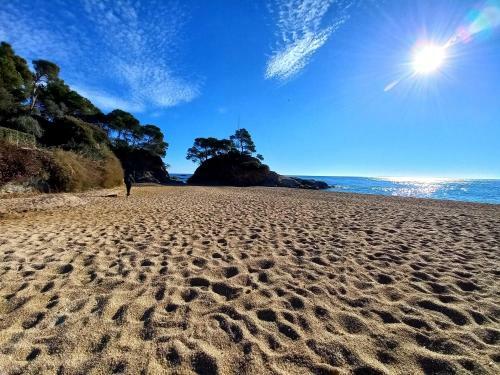 Apartamento Exeptionnel Appartement Playa D�aro