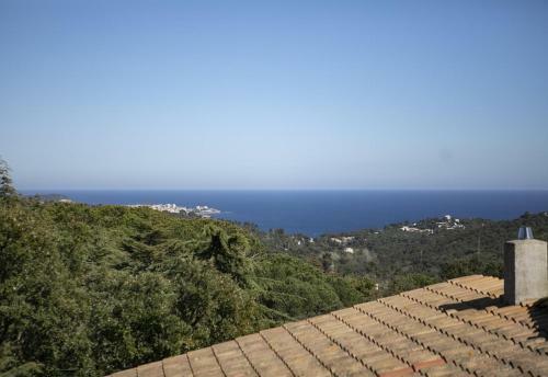 Villa Iberia - Castillo Mas Ros