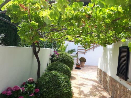Casa Perla Tamariu