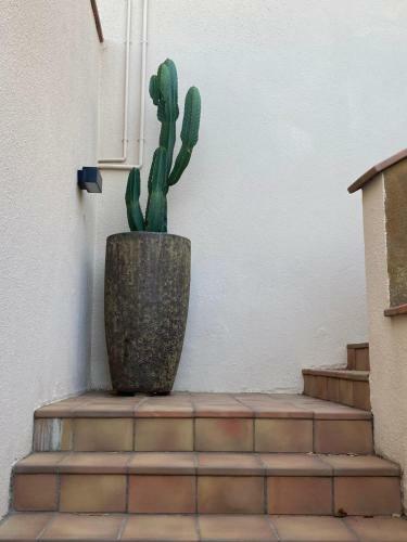 Casa Tanio