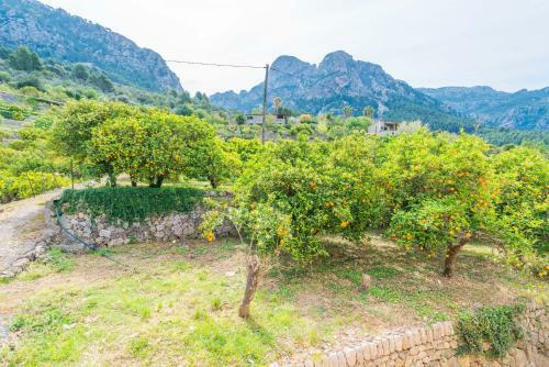 Villa Cas Patro Lau Bis