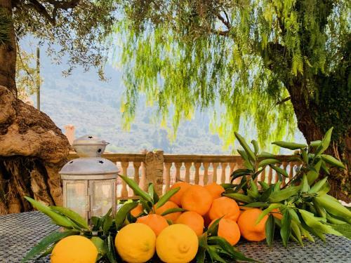 Hotel Can Pera Accommodation - Ti