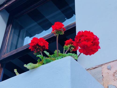 Hotel Can Pera Accommodation - Ti