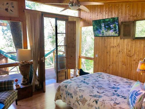 Lodge Buena Vista