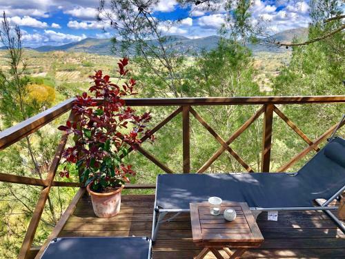 Lodge Buena Vista