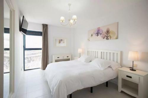 Apartamento Cardon Big Calm 10