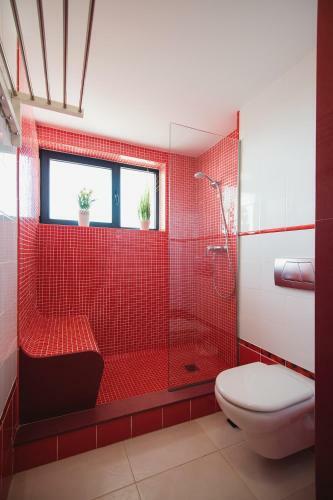 Apartamento Cardon Big Calm 14