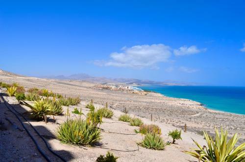 Apartamento Residencial Playa Paraiso