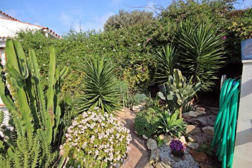 Apartamento Casa Dieter