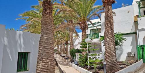 Apartment Palm Garden Costa Calma Pool Glasfaserinternet