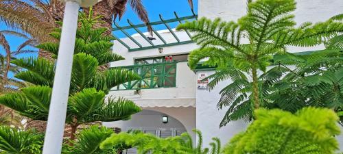 Apartment Palm Garden Costa Calma Pool Glasfaserinternet