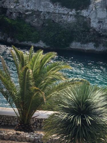Splendide Villa Les Pieds Dans L'eau Dans La Baie De Mahon