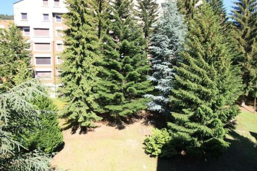Apartamento Saumet