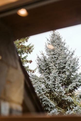 Apartamento Respomuso - Formigal, 6 Pax Y Jard�n